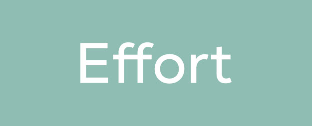 Effort